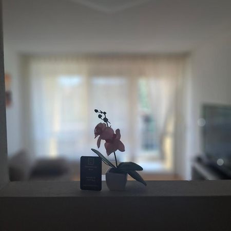 Ferienwohnung Shirin Rust Εξωτερικό φωτογραφία