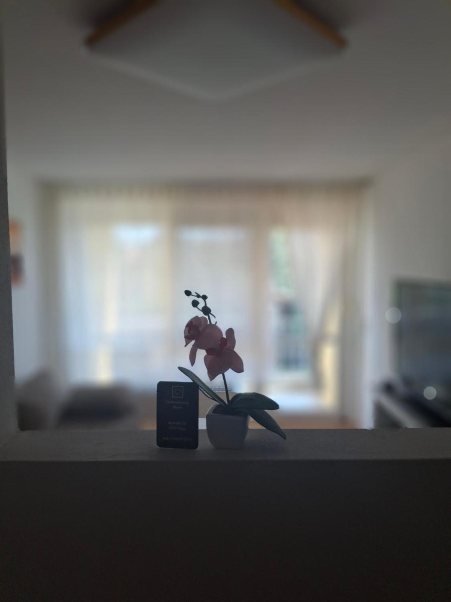 Ferienwohnung Shirin Rust Εξωτερικό φωτογραφία